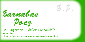 barnabas pocz business card